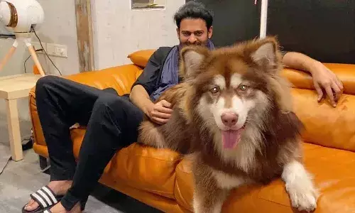 చార్మి తొమ్మిది నెలల బిడ్డతో ప్రభాస్.. ఫోటో వైరల్