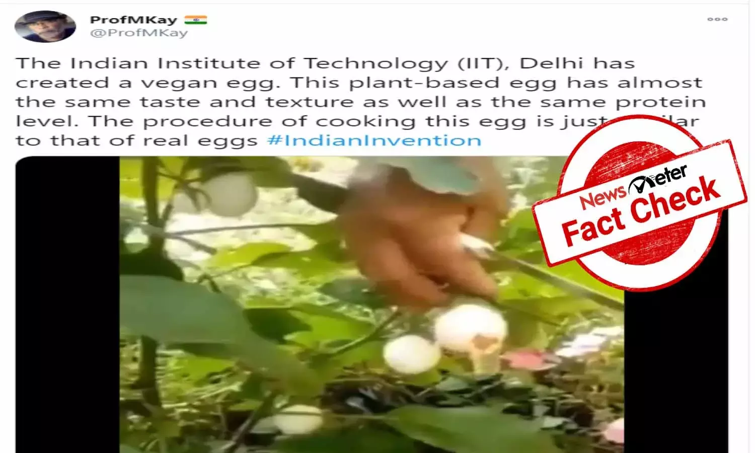 Fact Check : ఐఐటీ ఢిల్లీలో చెట్లకు అచ్చం కోడిగుడ్లు వచ్చే పద్దతిని కనుక్కుందా..?