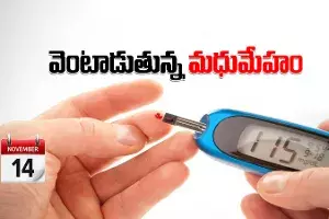 వైద్య రంగానికే సవాలుగా మారిన మధుమేహం.. నేడు అంతర్జాతీయ మధుమేహ దినోత్సవం వైద్య రంగానికే సవాలుగా మారిన మధుమేహం.. నేడు అంతర్జాతీయ మధుమేహ దినోత్సవం