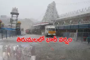 తిరుమలలో భారీ వర్షం.. విరిగిపడ్డ కొండచరియలు తిరుమలలో భారీ వర్షం.. విరిగిపడ్డ కొండచరియలు