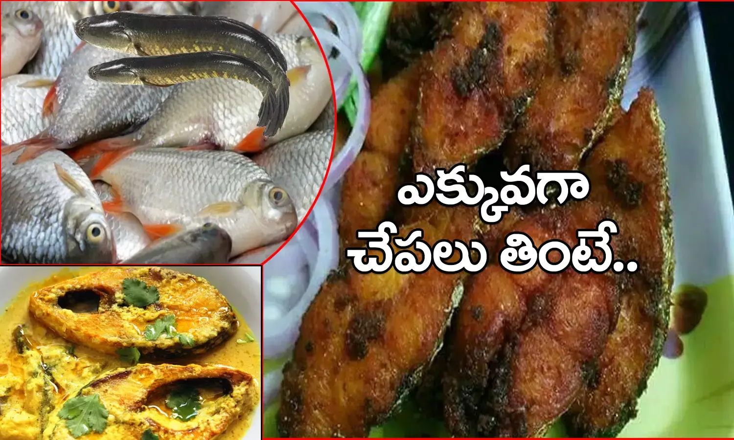చేపలు ఎక్కువగా తింటే ఎలాంటి ప్రయోజనాలు.. తెలిస్తే వదలరు
