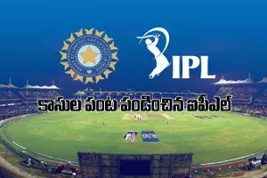 ప్రేక్షకులు లేకున్నా.. బీసీసీఐ భారీగానే ఆర్జించింది ప్రేక్షకులు లేకున్నా.. బీసీసీఐ భారీగానే ఆర్జించింది