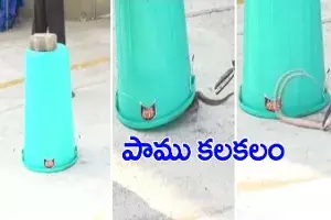 తిరుమలలో పాము కలకలం.. పరుగులు తీసిన భక్తులు తిరుమలలో పాము కలకలం.. పరుగులు తీసిన భక్తులు