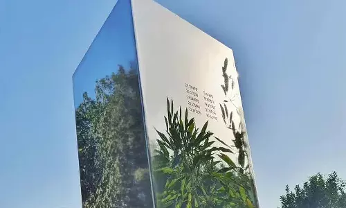 Monolith