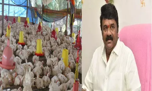 Bird flu in telangan