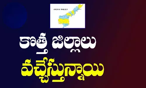 AP New Districts