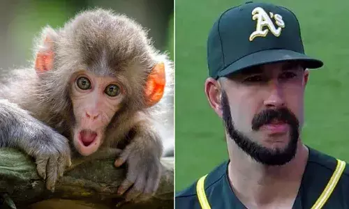 Monkey tail beard becomes the popular facial hair trend for 2021