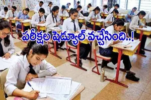 తెలంగాణలో మే 17 నుంచి పదో తరగతి పరీక్షలు.. ఆరు పేపర్లే తెలంగాణలో మే 17 నుంచి పదో తరగతి పరీక్షలు.. ఆరు పేపర్లే