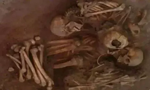 Mexican Archaeologists Find tale of Brutal Killings