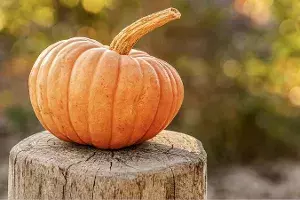 health benefits of pumpkin health benefits of pumpkin