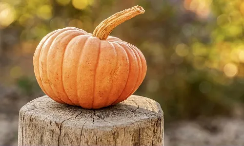 health benefits of pumpkin
