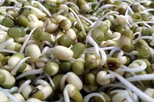 sprouted nuts sprouted nuts