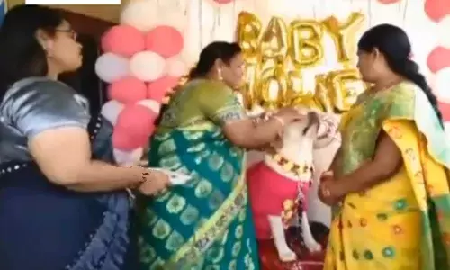 Baby shower function for dog in Sattupalli