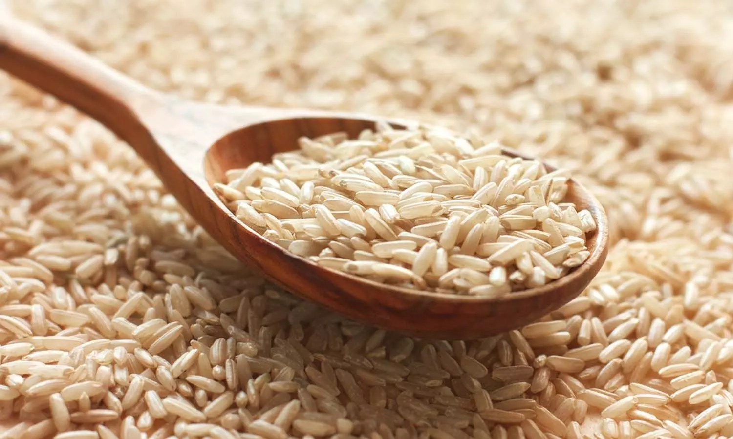 brown rice use