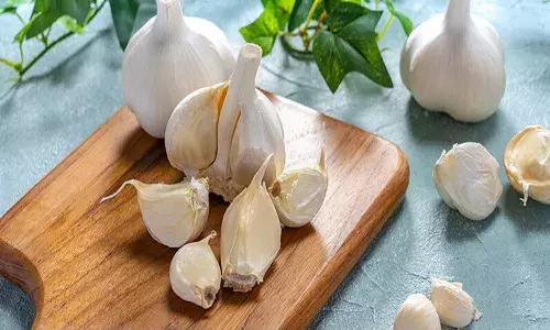 Health Secrets in Garlic