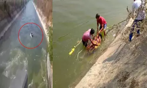 Car fell into SRSP canal in Warangal