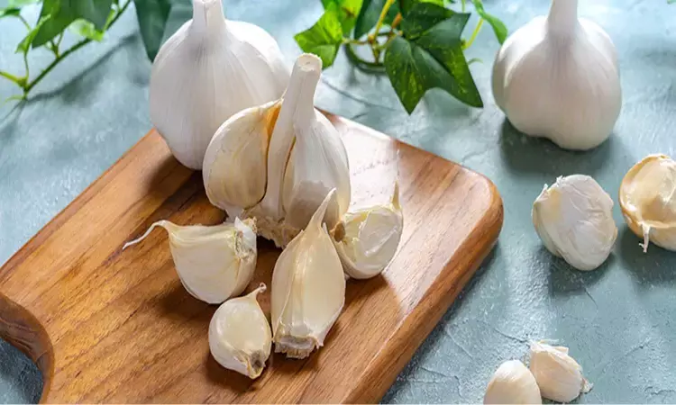 Health Secrets in Garlic