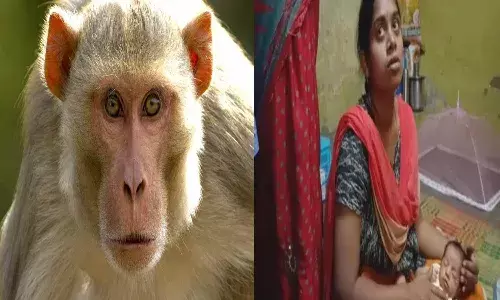 Monkey takes away infant twins in Thanjavur