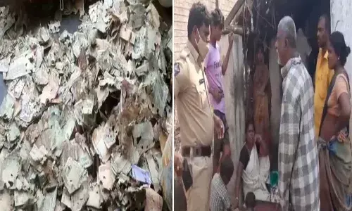 Termites Consumed Man Savings.