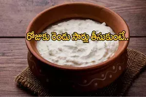 Health benefits of eating curd daily Health benefits of eating curd daily