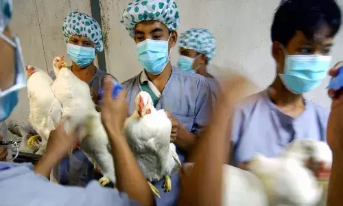 Russia detects the first case of H5N8 bird flu in humans,