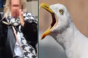 Woman bites off mans tongue during violent street fight. Woman bites off mans tongue during violent street fight.