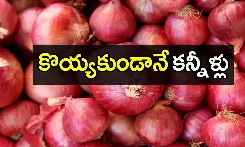 Onion Price Hike in India