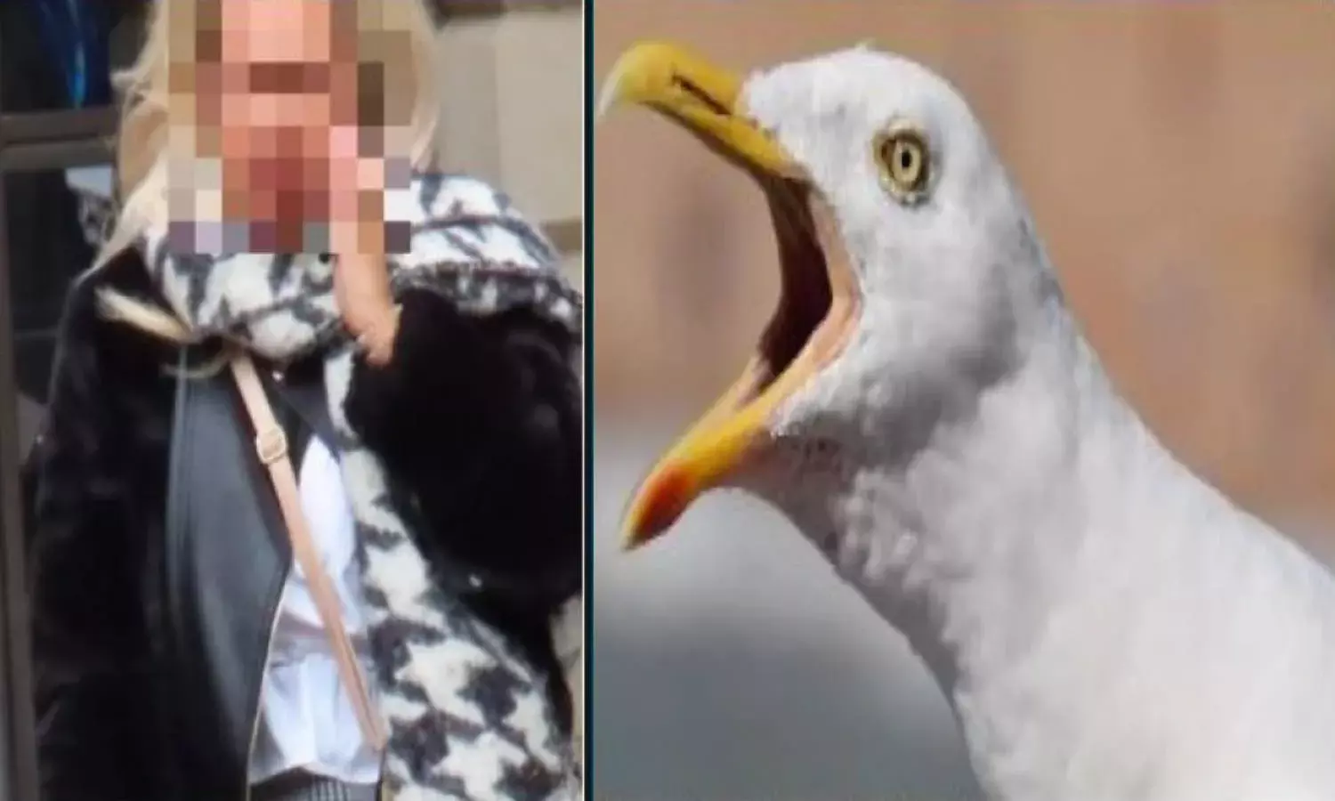 Woman bites off mans tongue during violent street fight.