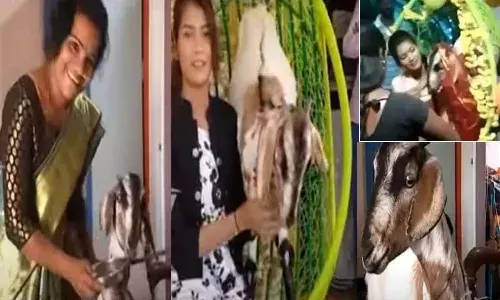 Karnataka couple made baby sowers to a goat