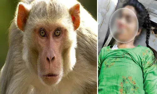Fear of monkey young lady jumped from terrace