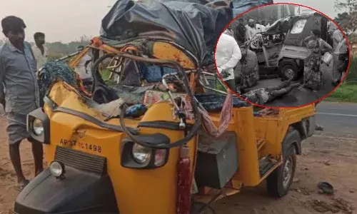 Road accident in Krishna District
