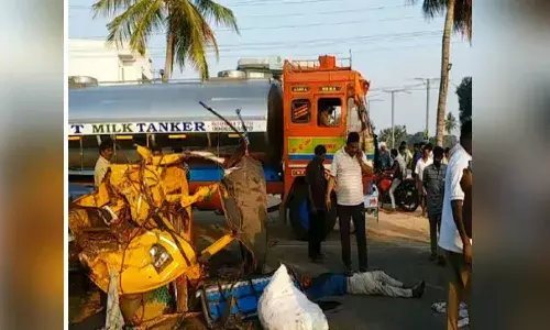 Road accident in Nellore dist