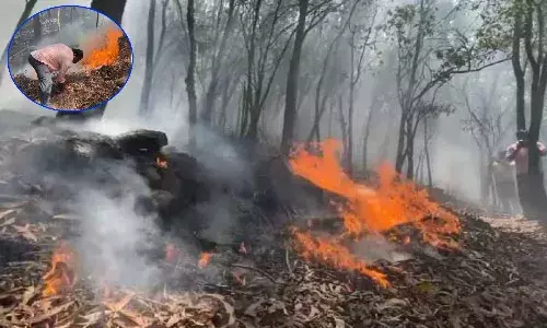 Fire in Seshachalam kakulakona forest