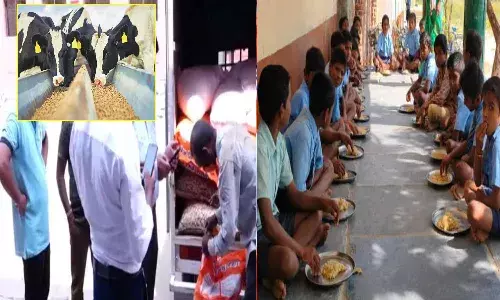 షాకింగ్.. విద్యార్థుల మధ్యాహ్న భోజనంలో పశువుల దాణా..