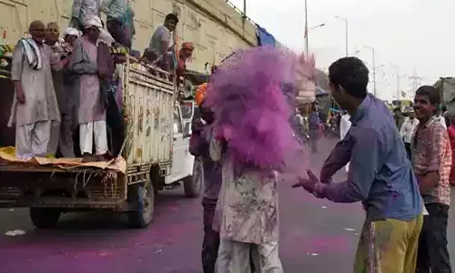 Delhi bans public fests of Holi