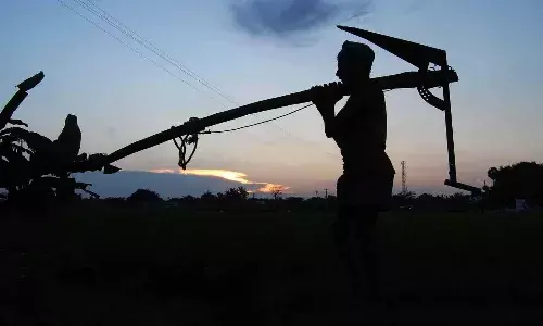 Flexi set up names and photos of farmers over they not paid loans