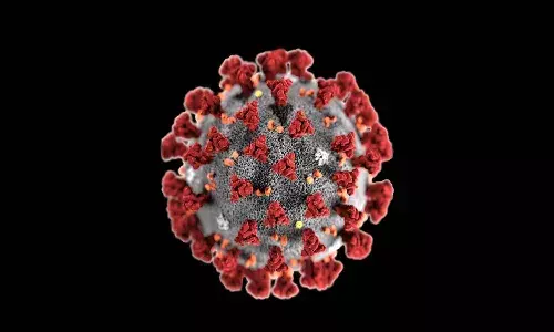 585 New corona cases in AP