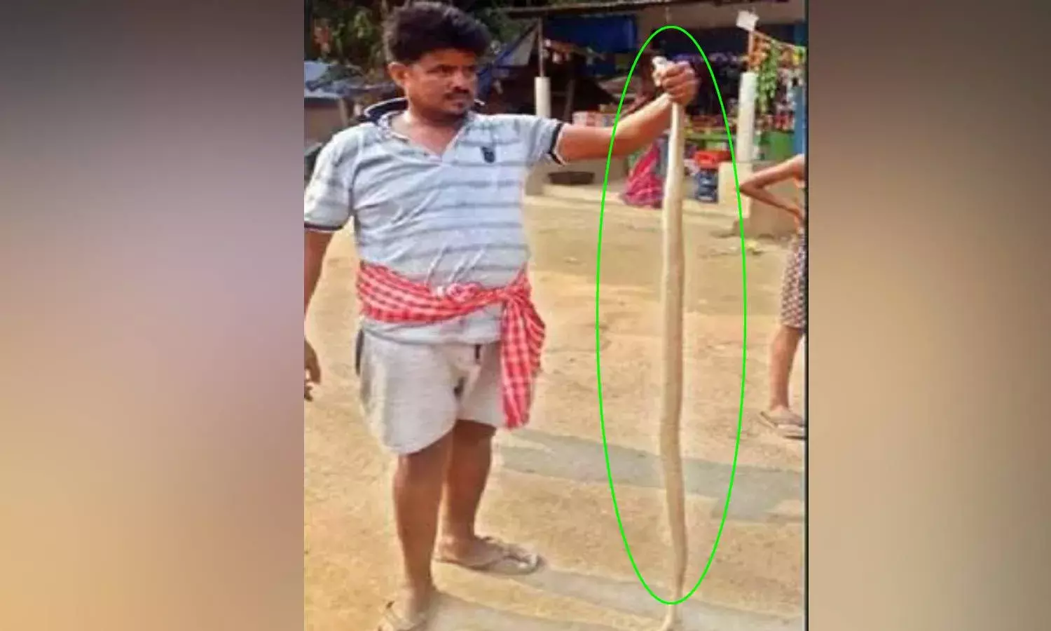 Youth Carries Snake To Hospital After Being Bitten