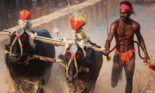 Srinivas Gowda sets new record in Kambala racing