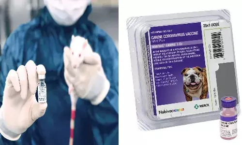 Corona vaccine for animals