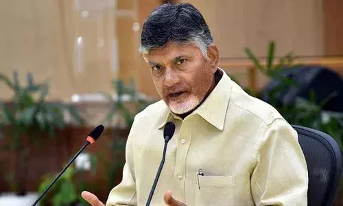 Chandrababu Key Decision On Elections