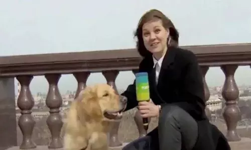 Dog Runs Away With Reporters Mic