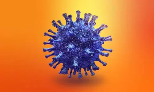 corona virus