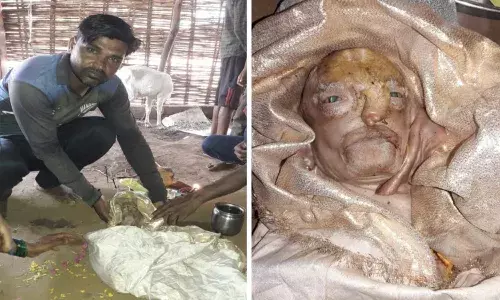 goat birth with human face