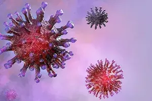 corona virus corona virus