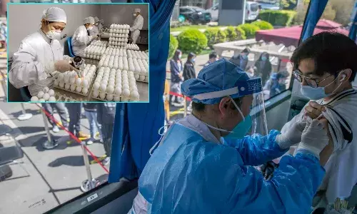 china govt offer to people