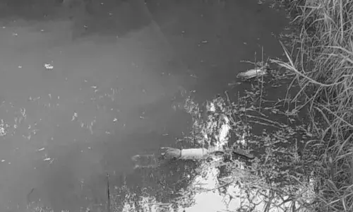 Mother Commits Suicide