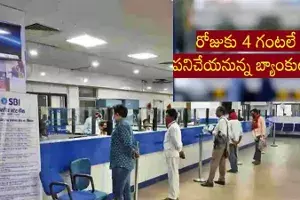 Bank employees Bank employees