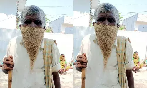 birds nest as a mask