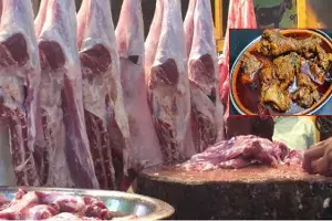 non veg shops non veg shops